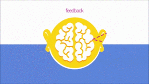 feedforward in plaats van oude feedback instrumenten